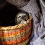 momenta-workshops-photography-workshops-in-documentary-travel-photography-and-nonprofit-photojournalism-rom-srinivasan-project-columbia